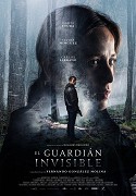 The Invisible Guardian (2017)