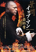 Ip Man: The Final Fight (2013)