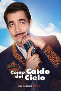 Como caído del cielo: Spadlý z ráje (2019)