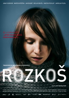 Rozkoš (2013)