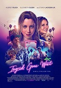 Ingrid Goes West  (2017)