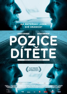 Pozice dítěte (2013)