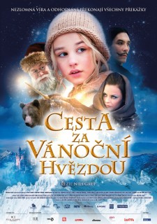 Cesta za Vánoční hvězdou (2012)