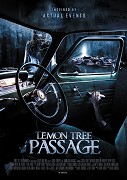 Lemon Tree Passage (2013)