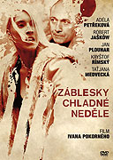 Záblesky chladné neděle (2012)