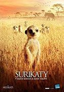 Surikaty (2008)